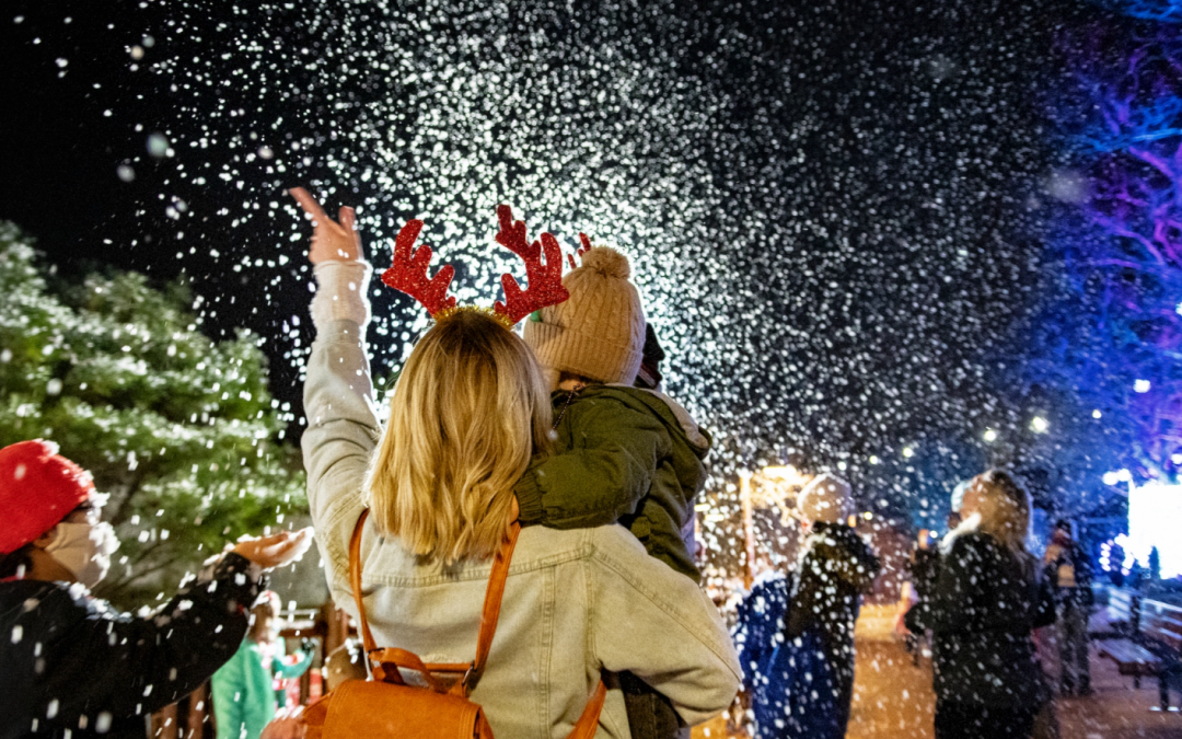 Experience A Holiday to Remember in Northville, MI – Live Music, Carriage Rides, Unicorn and More!