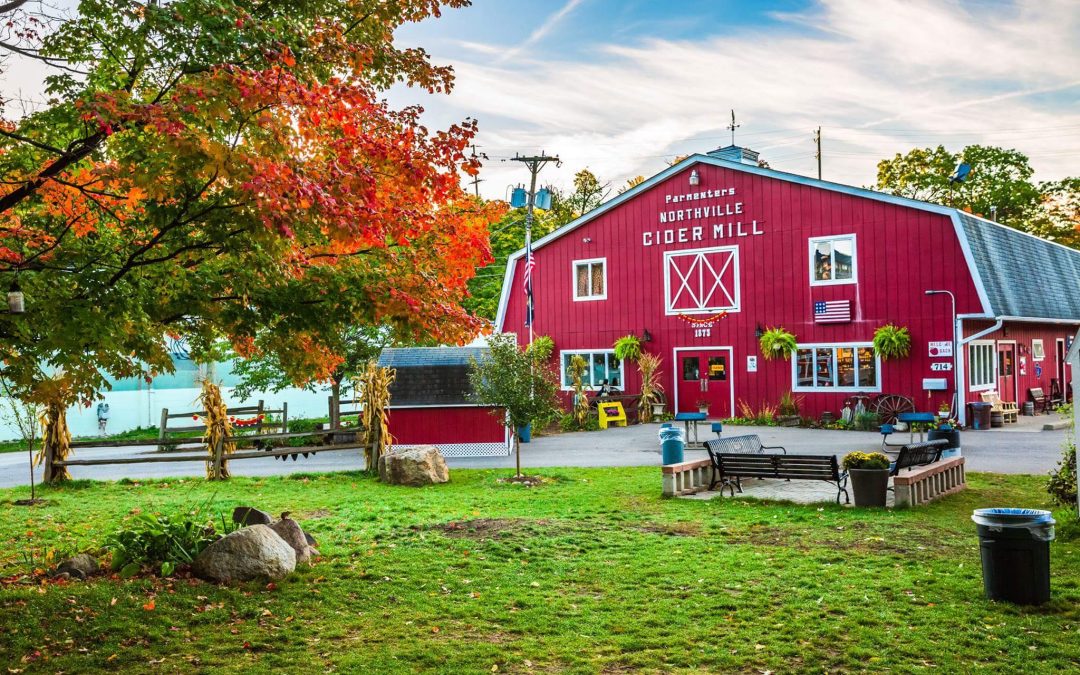 Exploring Northville Delicious Dining and Shopping at Garage Grill