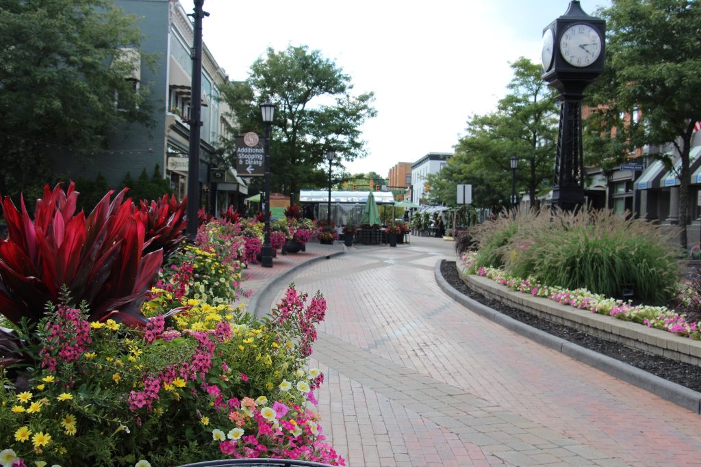 Exploring Northville Delicious Dining and Shopping at Garage Grill