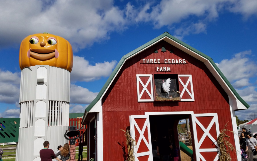 Three Cedars Farm: A Delightful Family Destination in Northville, Michigan